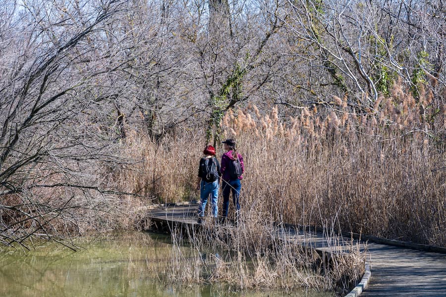 Randonneurs au Parc Naturel du Marais du Viguerat - Camping en Camargue les Amandiers